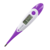 electronic thermometer