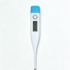 electronic thermometer