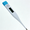 electronic thermometer