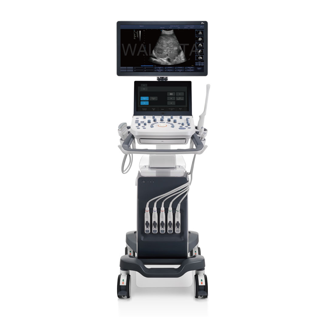 P9 High Quality Medical Portable Color Doppler Ultrasound Diagnostic System Cart with 3 Probes