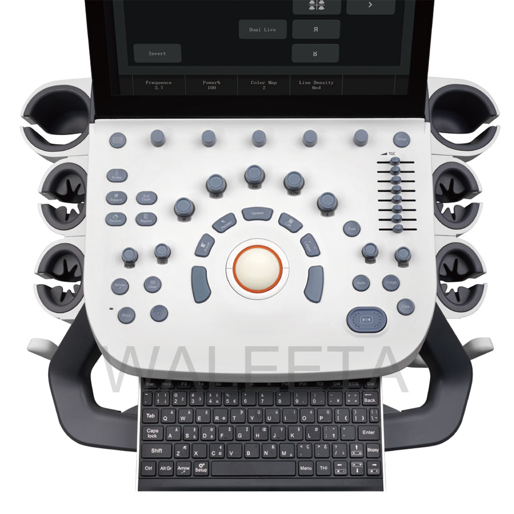 P9 High Quality Medical Portable Color Doppler Ultrasound Diagnostic System Cart with 3 Probes